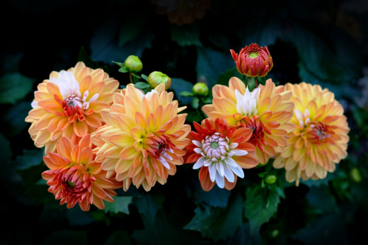 761513 (a): :2048x1360